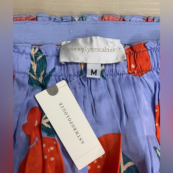 Anthropologie Corey Lynn Calter Naranjas A-Line Midi Skirt - Picture 2 of 4